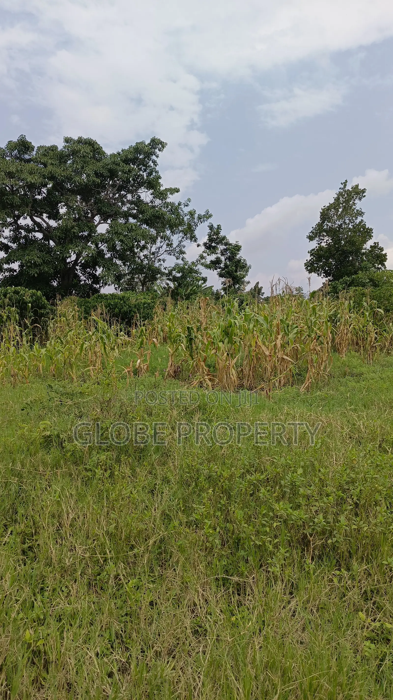 1square Mile of Farmland for Sale