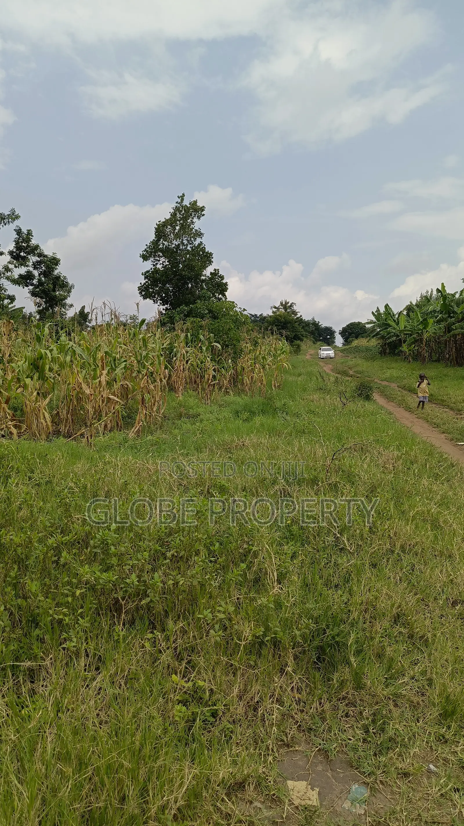 1square Mile of Farmland for Sale