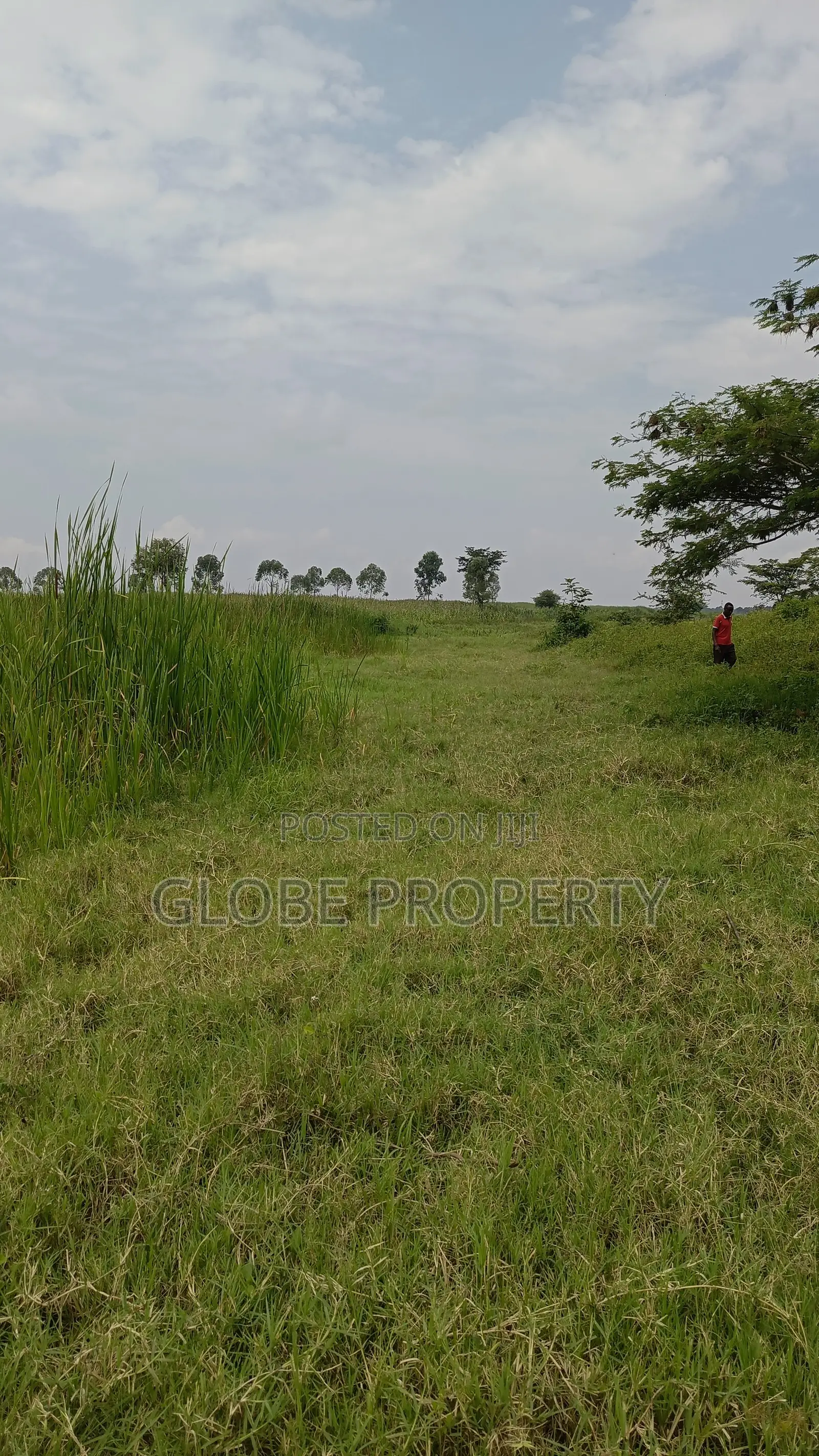 3 Square Miles of Farm Land for Sale
