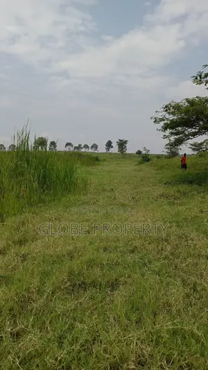 3 Square Miles of Farm Land for Sale