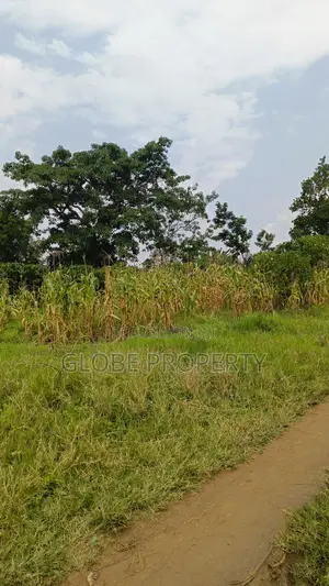 3 Square Miles of Farm Land for Sale