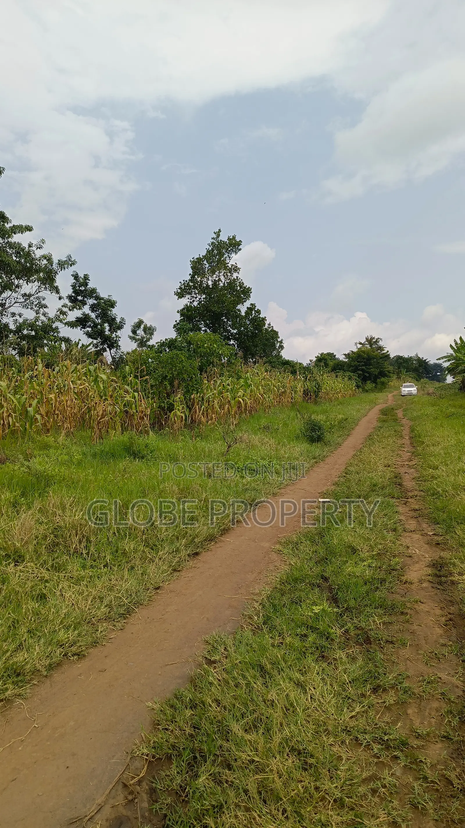 3 Square Miles of Farm Land for Sale