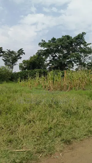 100 Acres of Farmland for Sale in Nakasongola