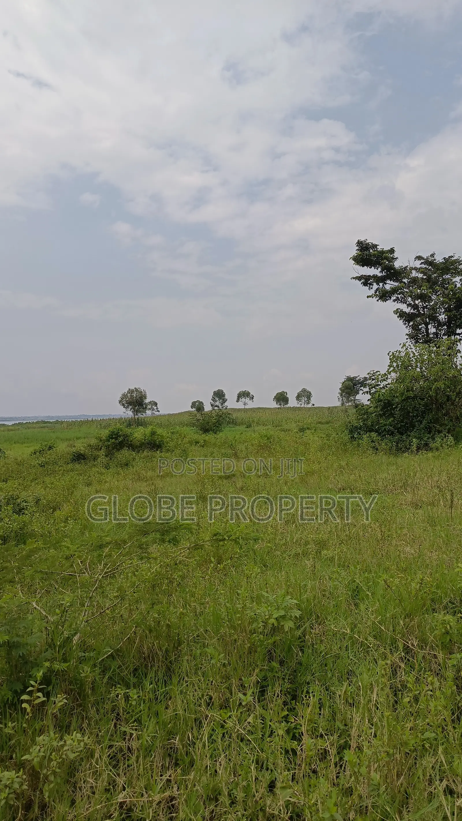 100 Acres of Farmland for Sale in Nakasongola