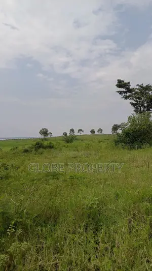 100 Acres of Farmland for Sale in Nakasongola