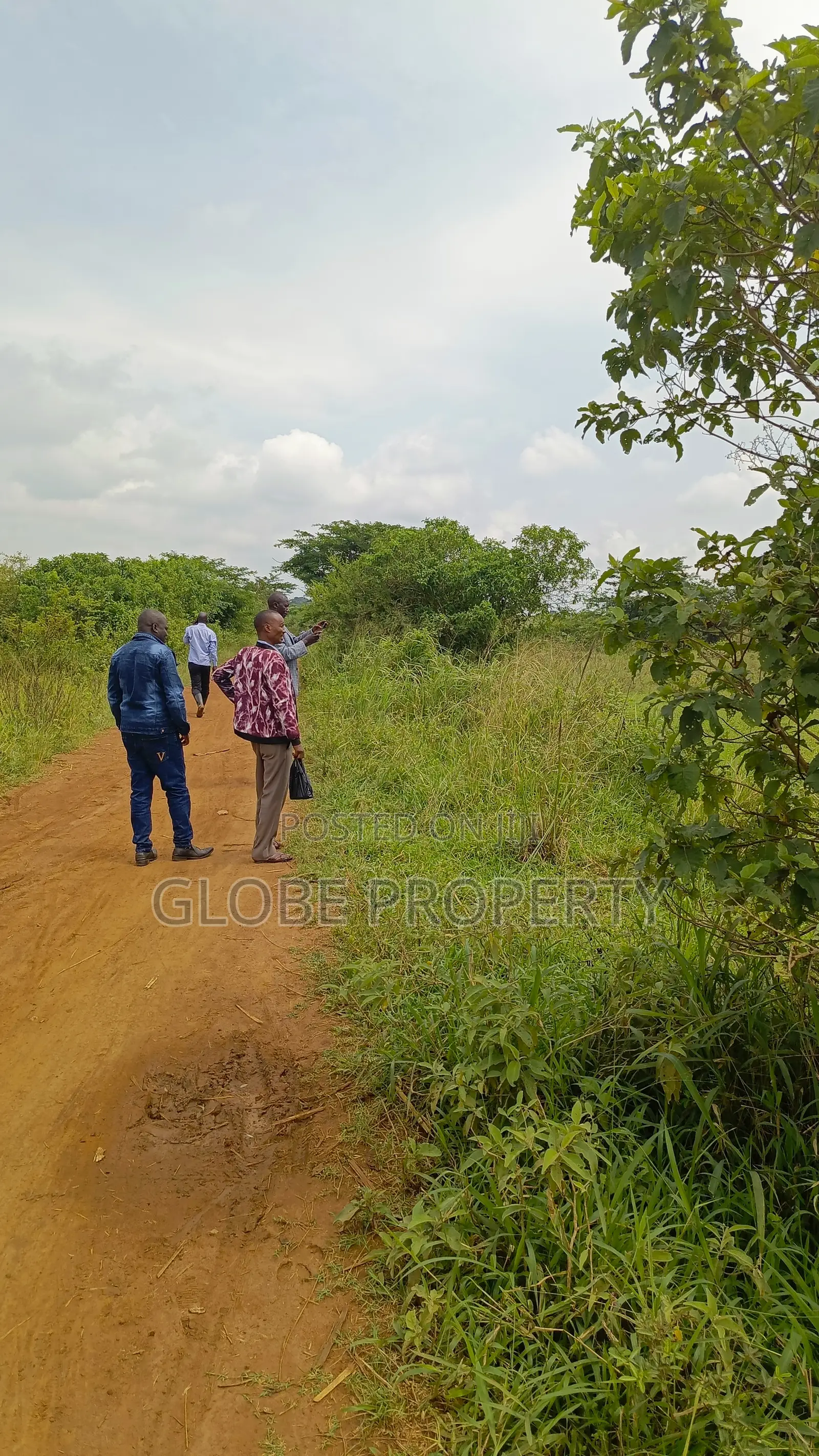 30 Acres of Fertile Farmland for Sale at Watuba