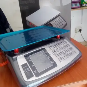 40kg Weigh Digital Weighing Scale Stainless Steel Pan Weighing Scales