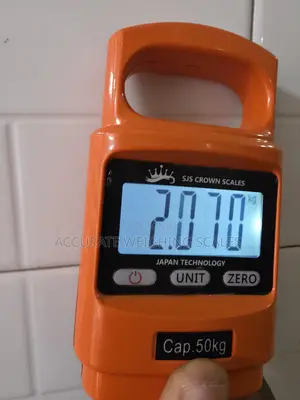 Photo - Insulin Luggage Scale