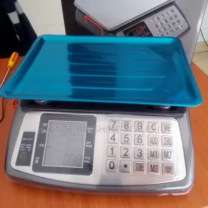 Fruit Weighing Scale A.B.S Plastic Pricing Weighing Scale
