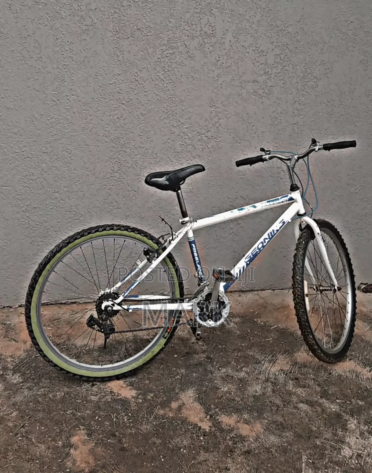 Adult Bicycle On Sale