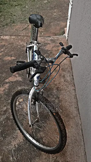 Adult Bicycle On Sale