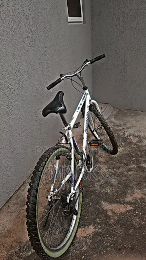 Adult Bicycle On Sale