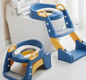 Potty Training Seat With Step Stool Ladder
