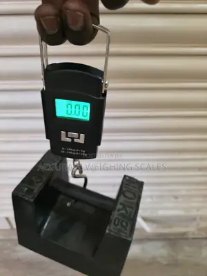 Photo - Edema Luggage Scale