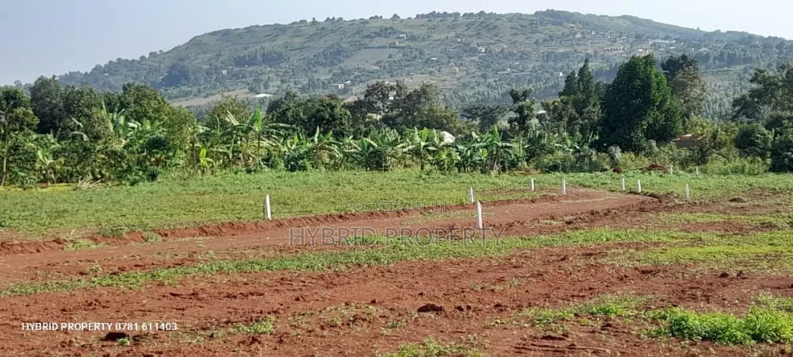 Prime Plots for Sale at Maya~Jandira Land Estate~Masaka Road