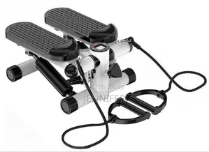 Sunny Health Fitness Mini Stepper for Exercise