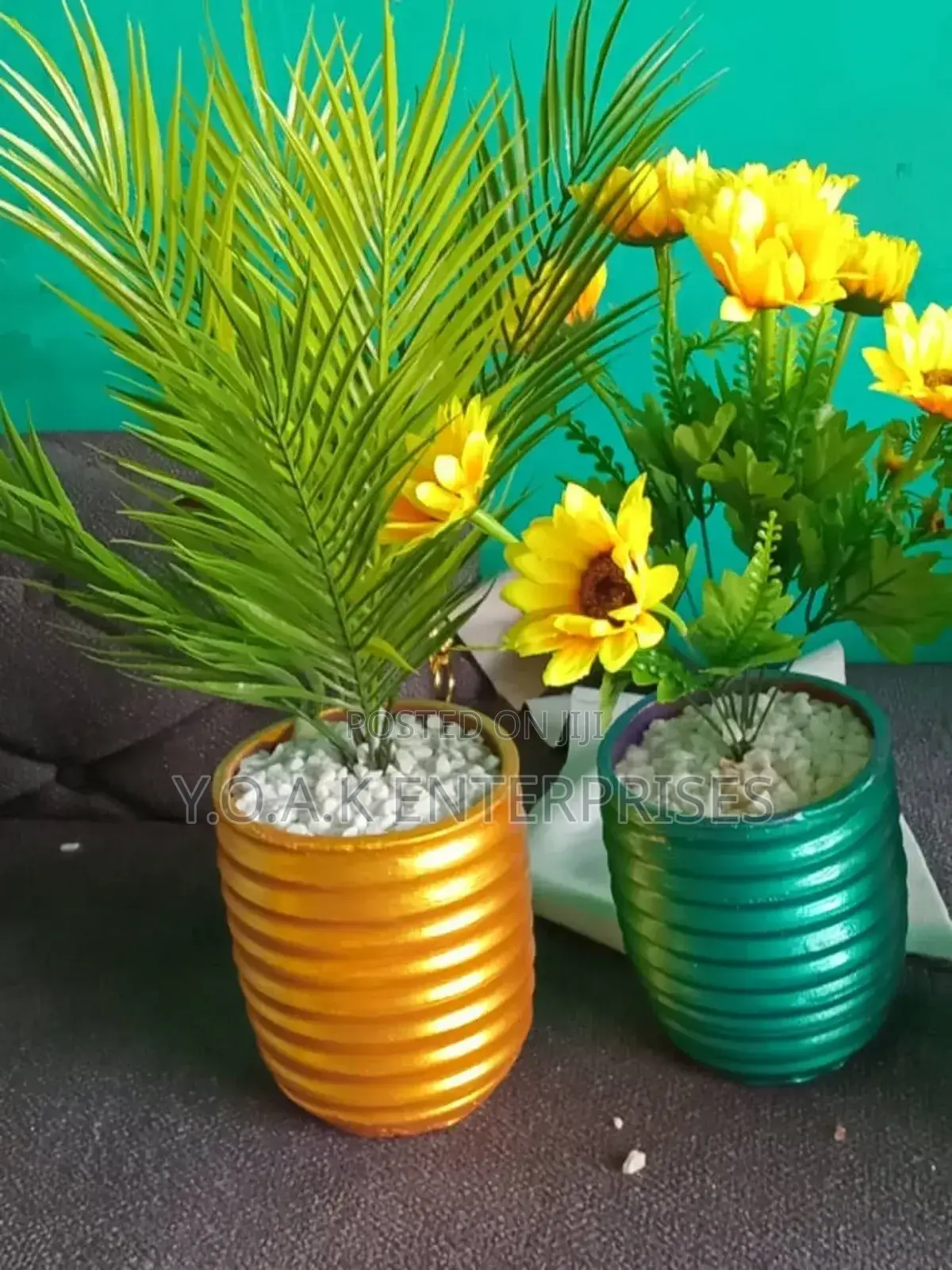 Potted Plants