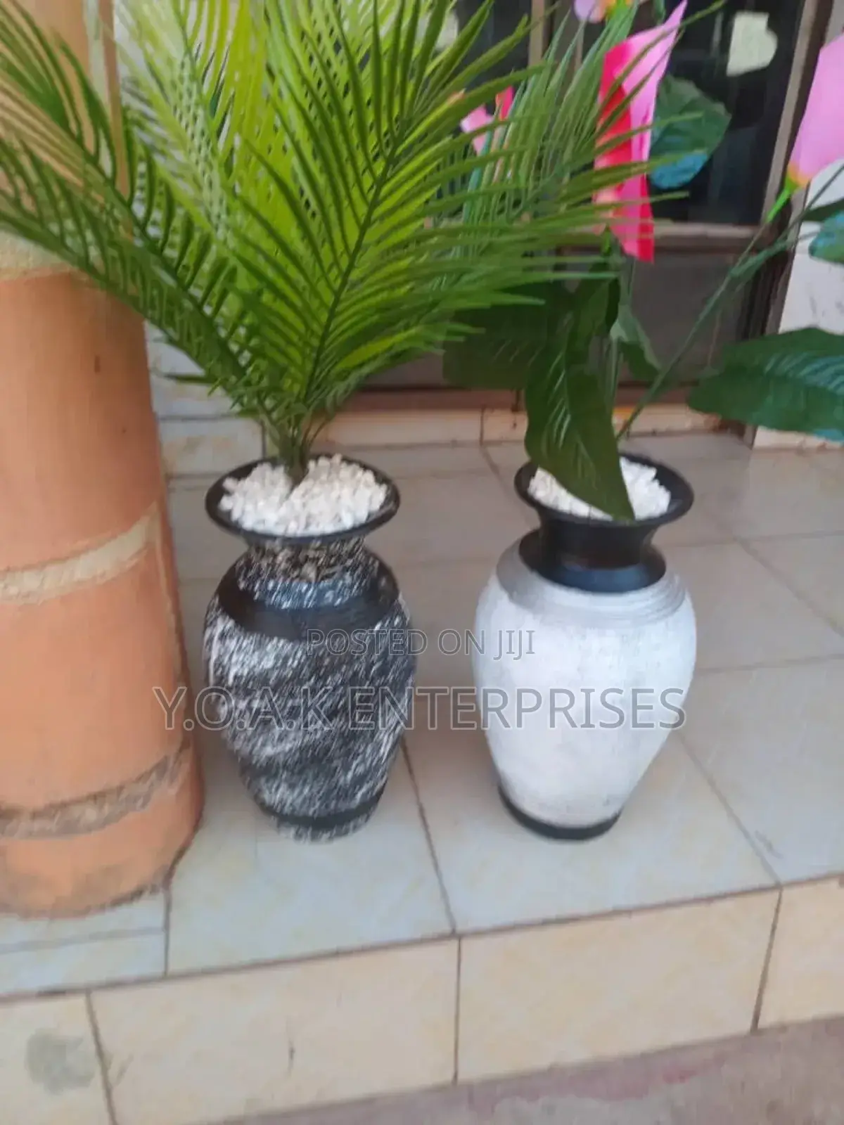 Potted Plants
