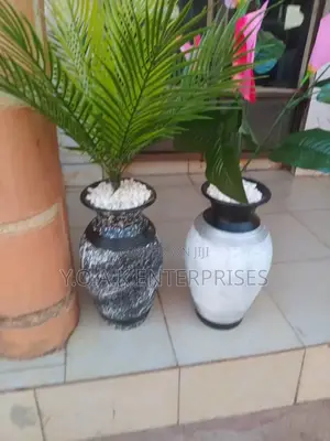 Potted Plants