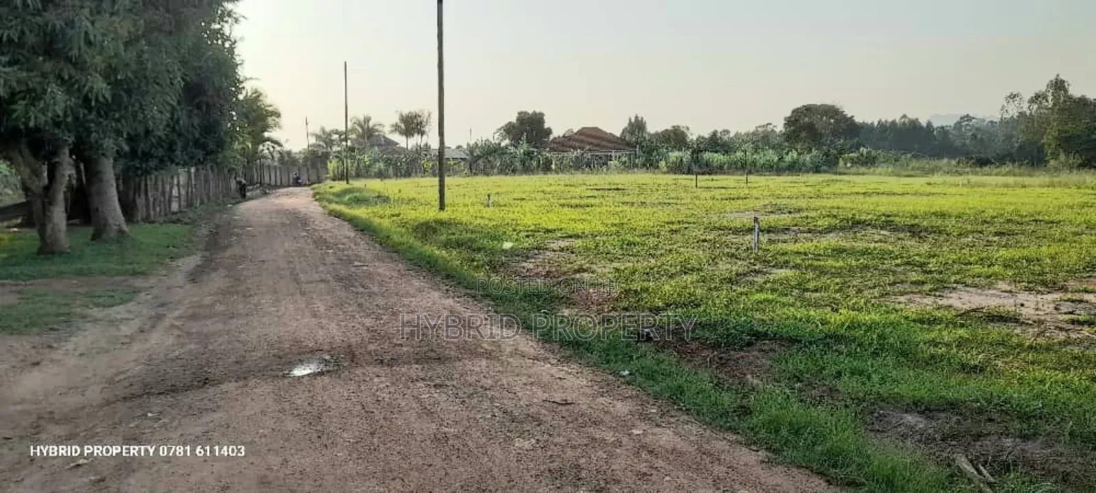Prime Plots for Sale at Nsangi Town Divine Land Estate X.