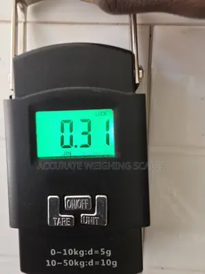 Photo - Fischer Luggage Scale