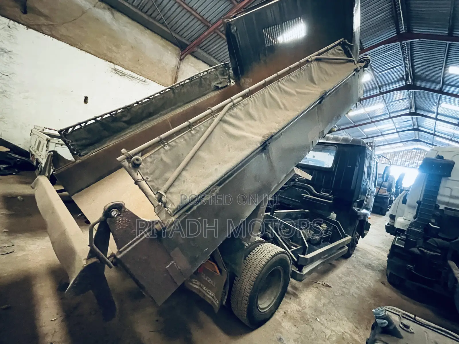 Isuzu Dumper Big Head