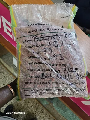 Masavu Bean Seeds 5kg