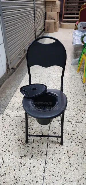 Potty Chair With Cover