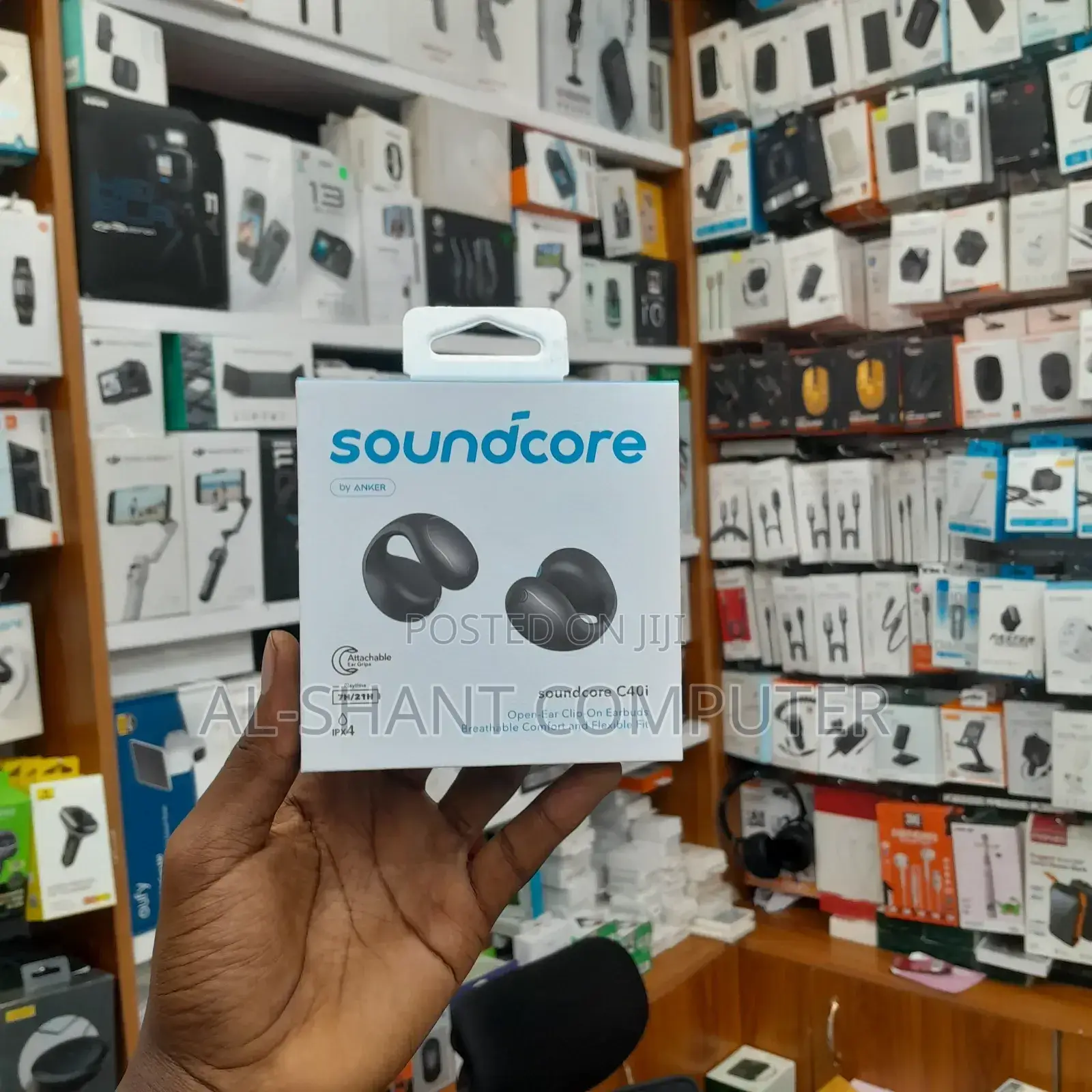 Soundcore C40i Earphones