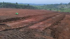 50*100fts Plots on Sale