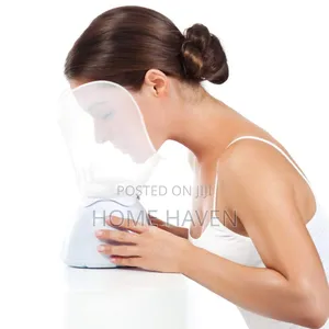 Facial Steamer