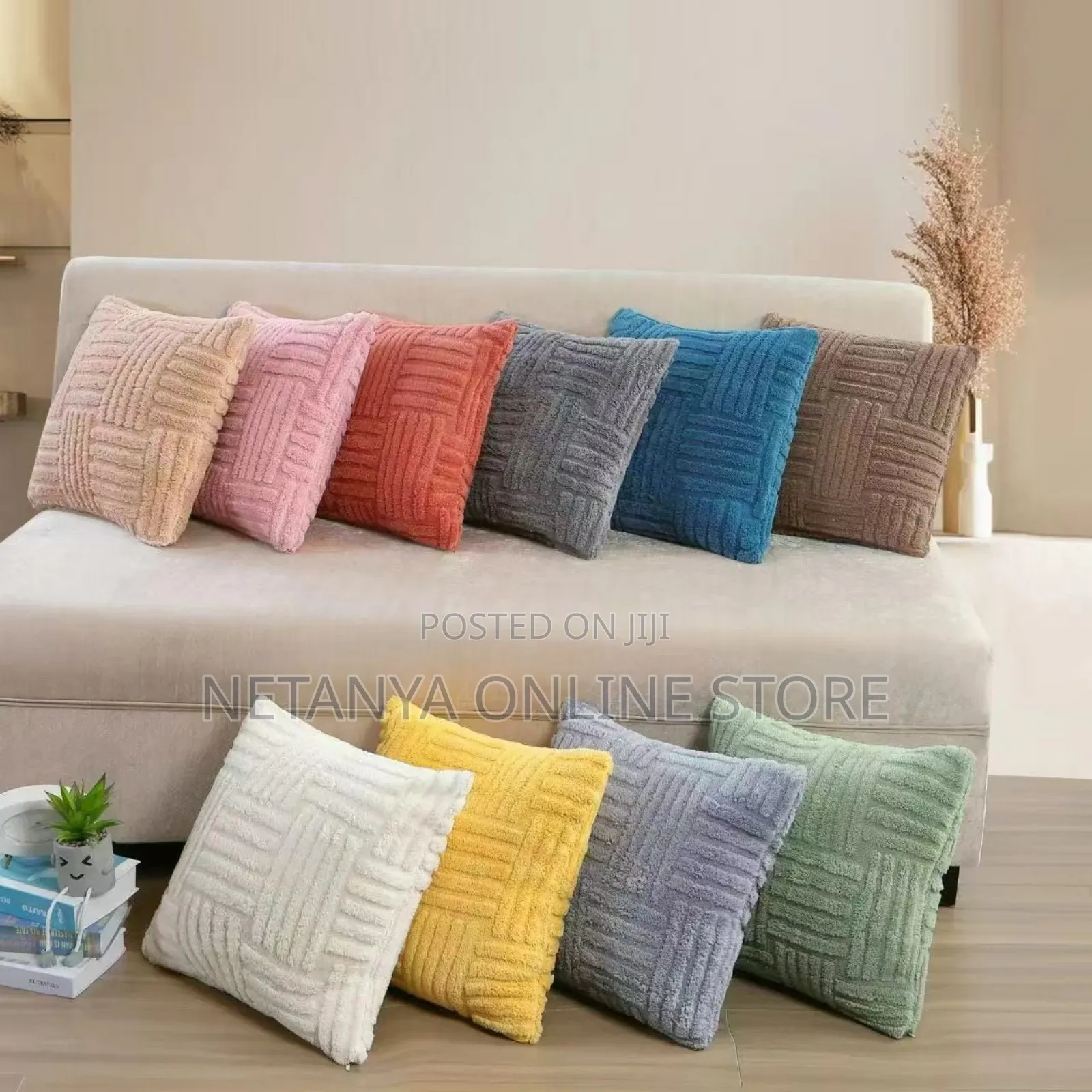 Soft Velvet Cushions