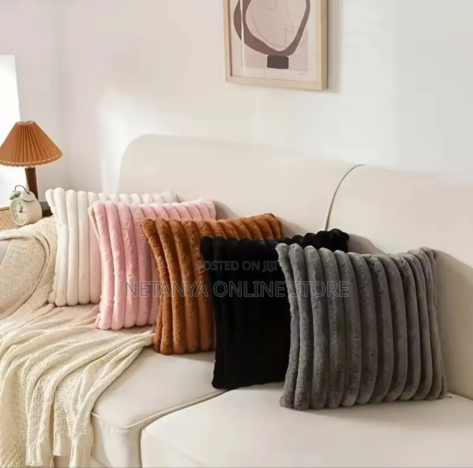Soft Velvet Cushions