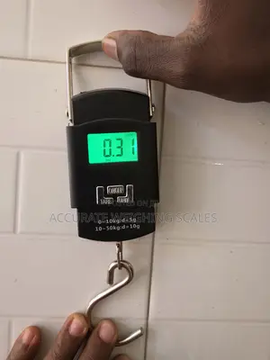 Photo - Backpack Luggage Scale