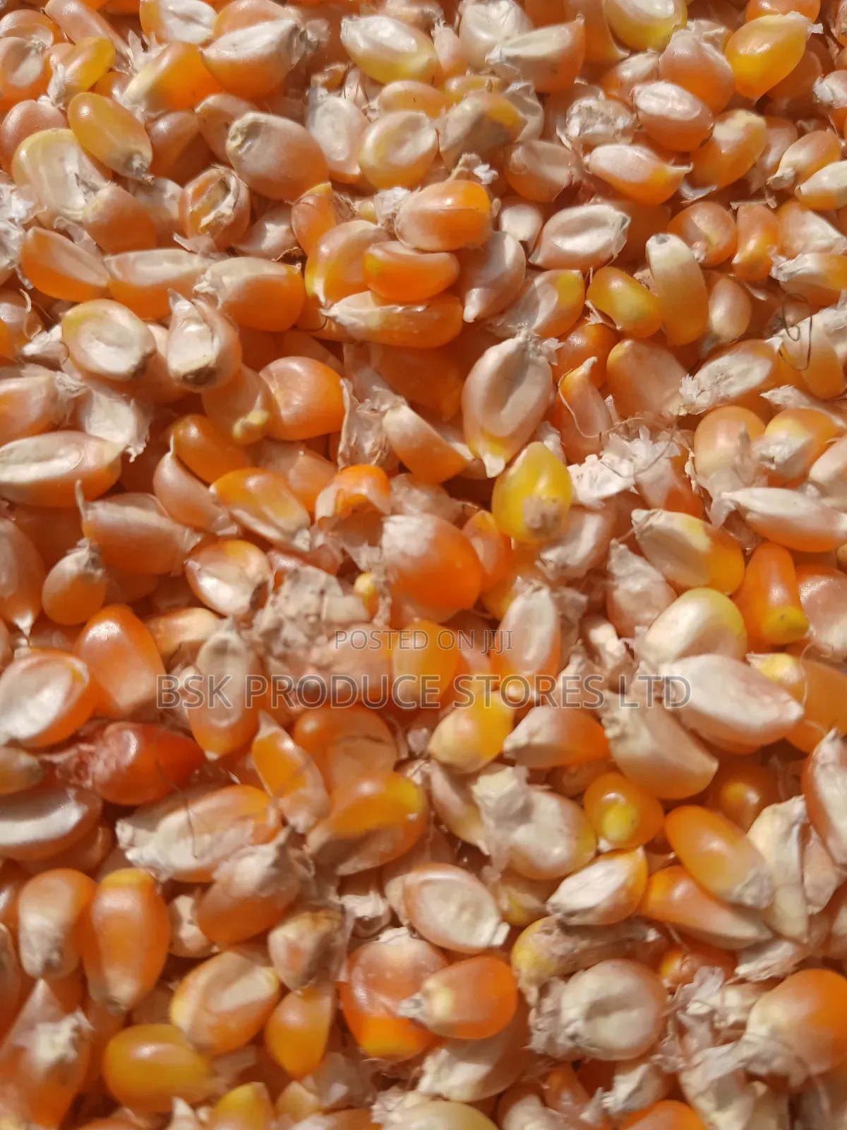 Newpopcorn