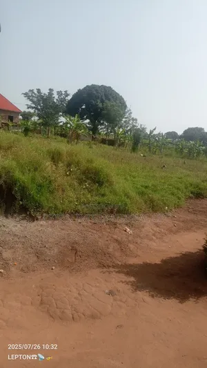 May Offer !!Cheap Plots for Sale in Magongo Kakiri Mwera