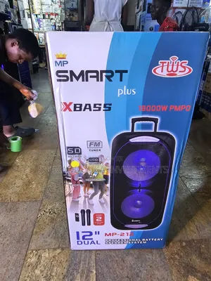 Smart Plus 12" Dual Rechargeable Speaker