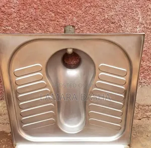 Photo - Stainless Scouting Steel Toilet