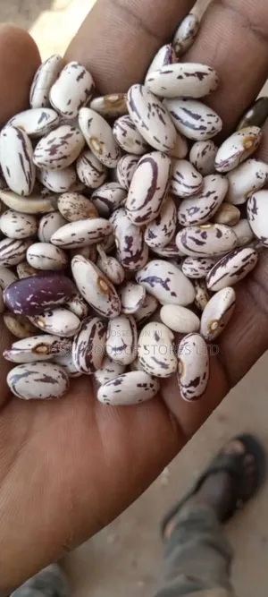 Photo - Massavu Beans [Sugar]