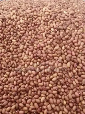 Photo - Bazekwanama Beans [Smallkawula]