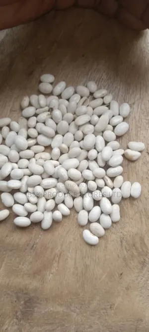 Photo - Small White Beans