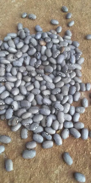 Photo - Black Beans
