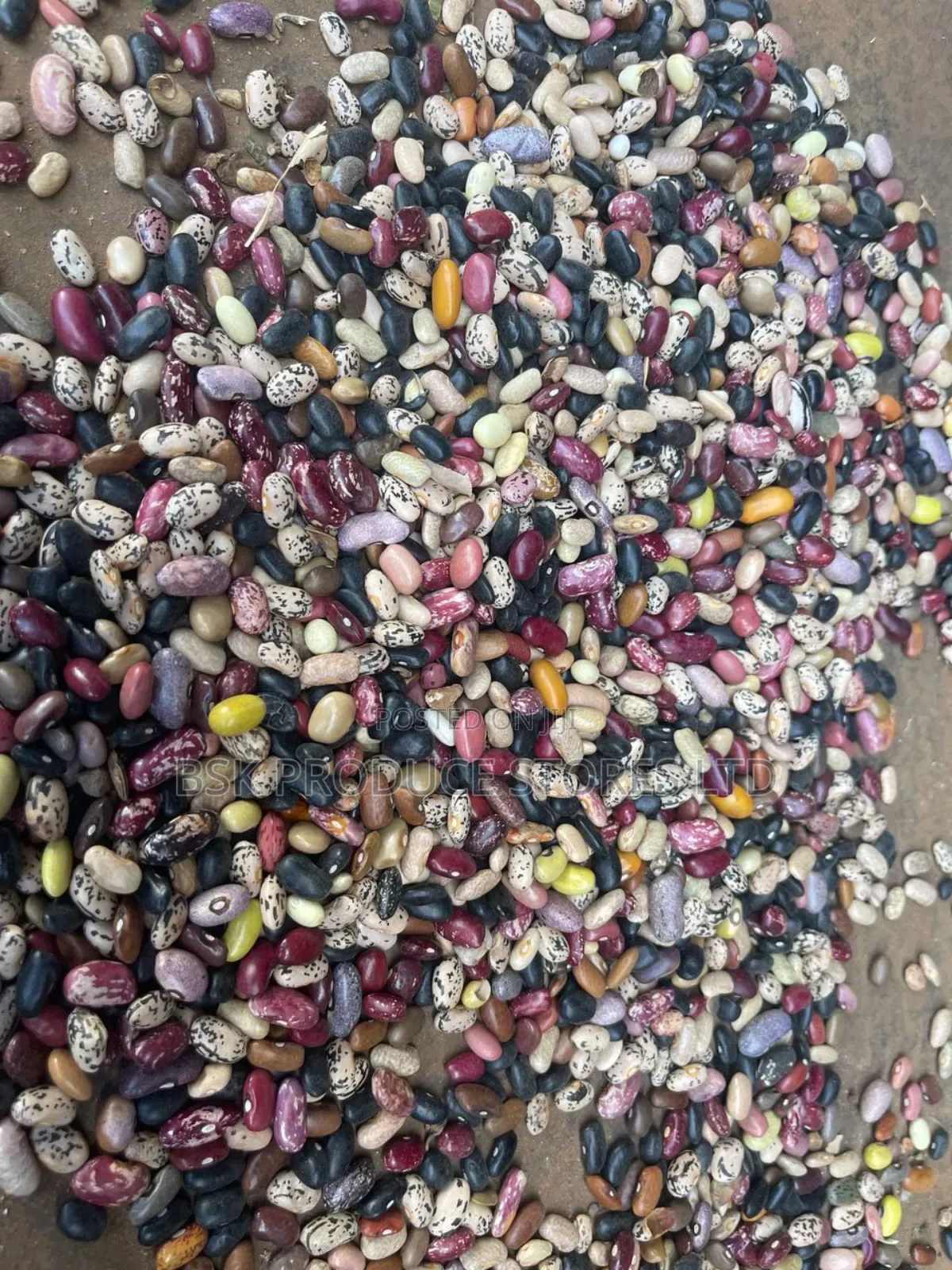 New Mixbeans