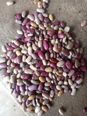 New Mixbeans