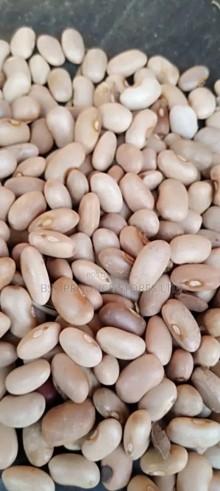 Manyorani Beans