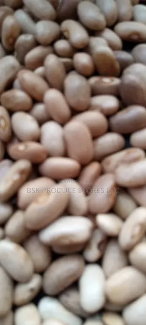 Manyorani Beans