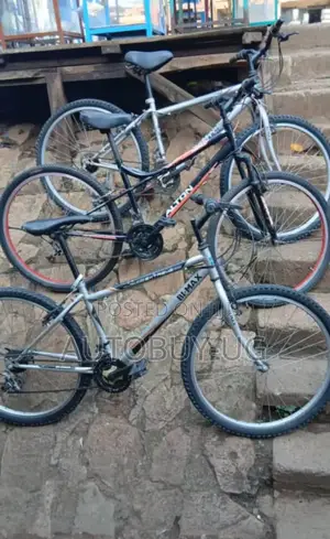 Adult Bikes