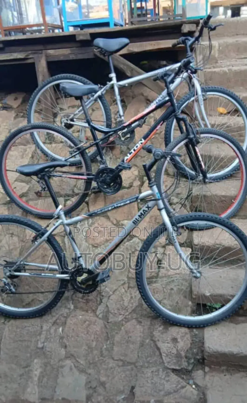 Adult Bikes