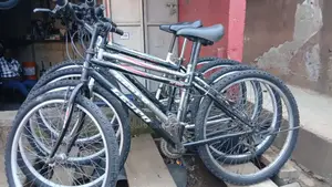 Adult Bikes
