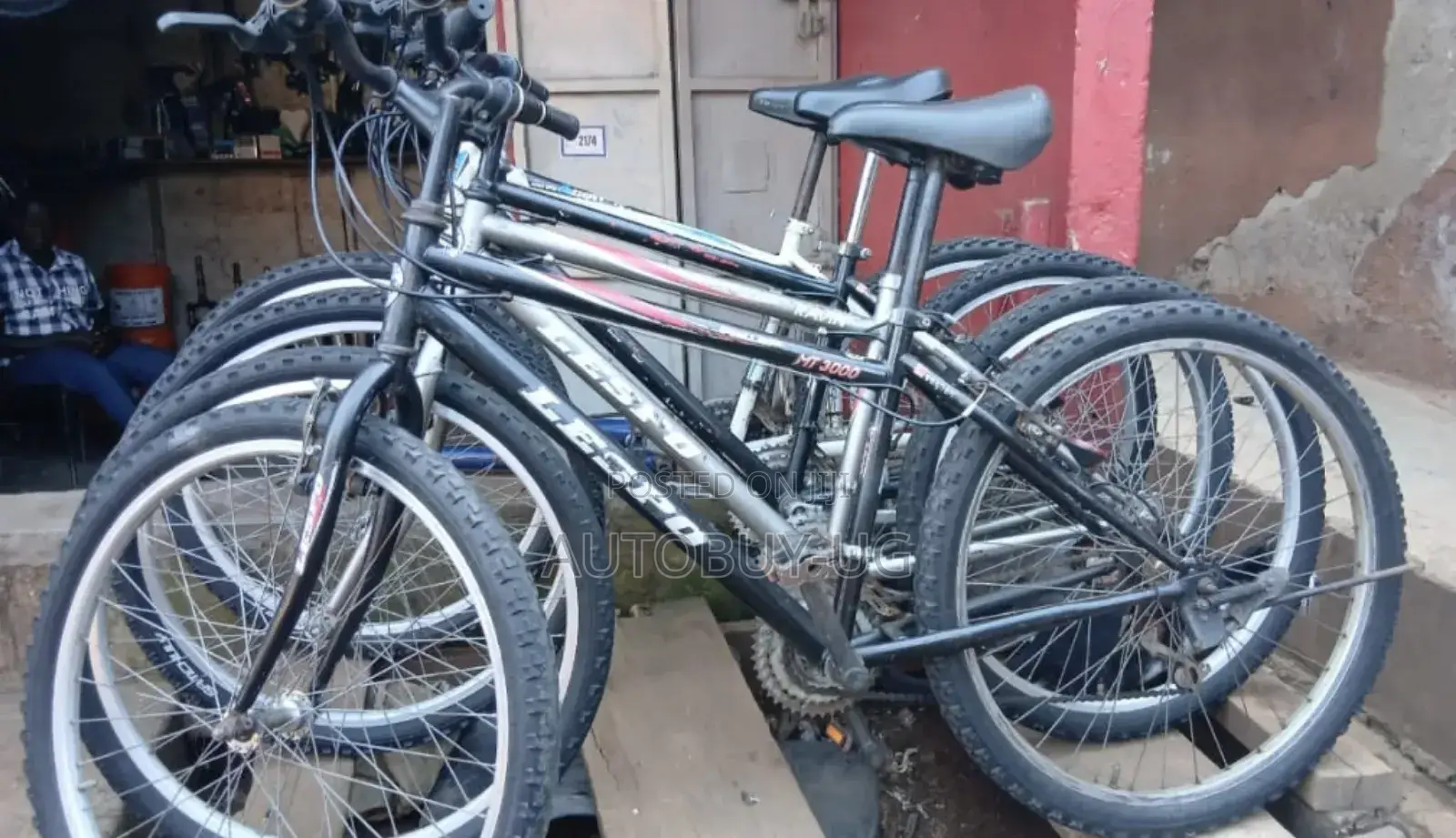 Adult Bikes